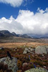 Friedel photographs the landscape