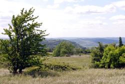 dsc_2569.jpg