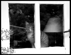dsc_2760bw.jpg