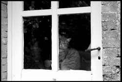 dsc_2764bw.jpg
