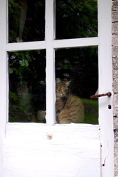 dsc_2765.jpg