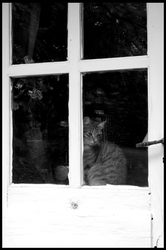 dsc_2765bw.jpg
