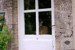 dsc_2769.jpg