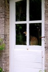 dsc_2770.jpg