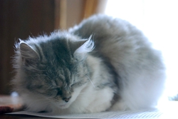dsc_2772.jpg