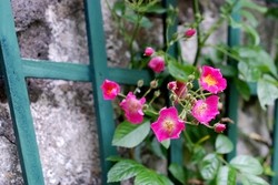 dsc_2817.jpg