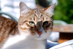 dsc_2947.jpg