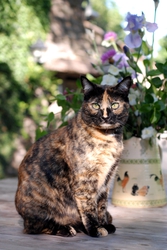 dsc_3012.jpg