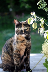 dsc_2973.jpg