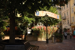 The very green beer garden