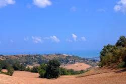 Looking towards the sea