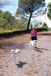 Friedel and the dogs