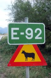 E-92 signs; all the cows are hiding