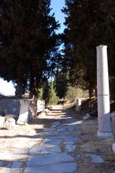 Leading to the Temple of Artemis
