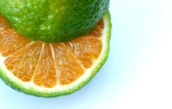 Orange or lime?