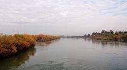 Fall colours by the Euphrates