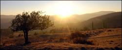 Rush hour at our campsite