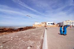 The very windy city of Essaouira