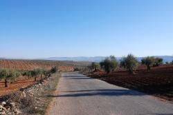 Beautiful roads on the way to Cyrrhus