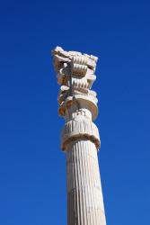 The tops of these columns are unlike anything we've seen elsewhere