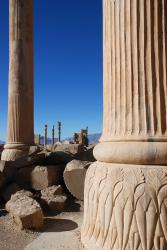Columns, columns and more columns