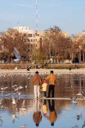 Esfahanis love to feed the birds