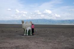 Friedel and a camel