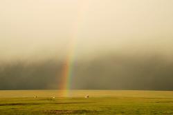 Rainbow over farm buildings