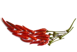 chillipeppershapefull.jpg