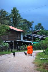 Monks early in the morning in Champasak