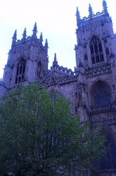 york08