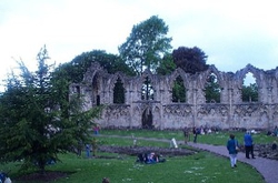 york13