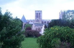 york14