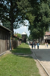One of the main roads within the Auschwitz camp
