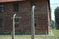 A fence outside one of the buildings at Auschwitz. The fences are everywhere you look