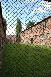 Some of the prisoners' barracks as seen through a chain-link fence