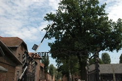 A gate leading into the area where the barracks are. Every day the prisoners had to pass through here. The sign reads "Arbe