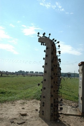 Some of the fence surrounding Birkenau, the camp just a short distance from Auschwitz