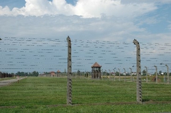 Birkenau was built after Auschwitz became too full