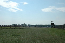 Another view of Birkenau