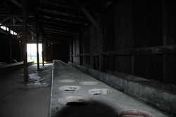 Inside one of the shelters at Birkenau. This was the toilet facility, the only one for the whole camp