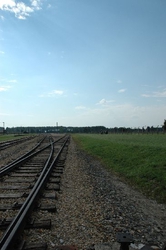 The train tracks that carried prisoners into Birkenau