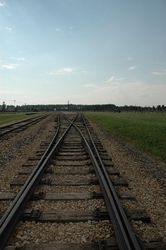 Tracks