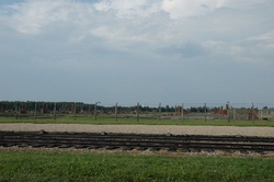 The remains of the many barracks at Birkenau