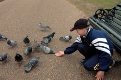 Feeding the Pidgeons