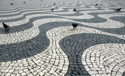 Pigeons and the wavey cobbled square of Lisbon's old town