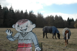 FS visiting some Surrey horses