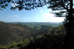 Drogo Castle View