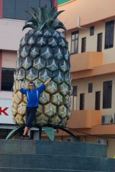 Andrew and a giant pineapple in Pekan Nenas