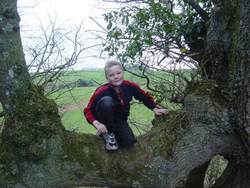 Connor in a tree